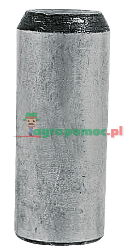 Sworzeń łożyska | 067031 | zdjęcie nr 1